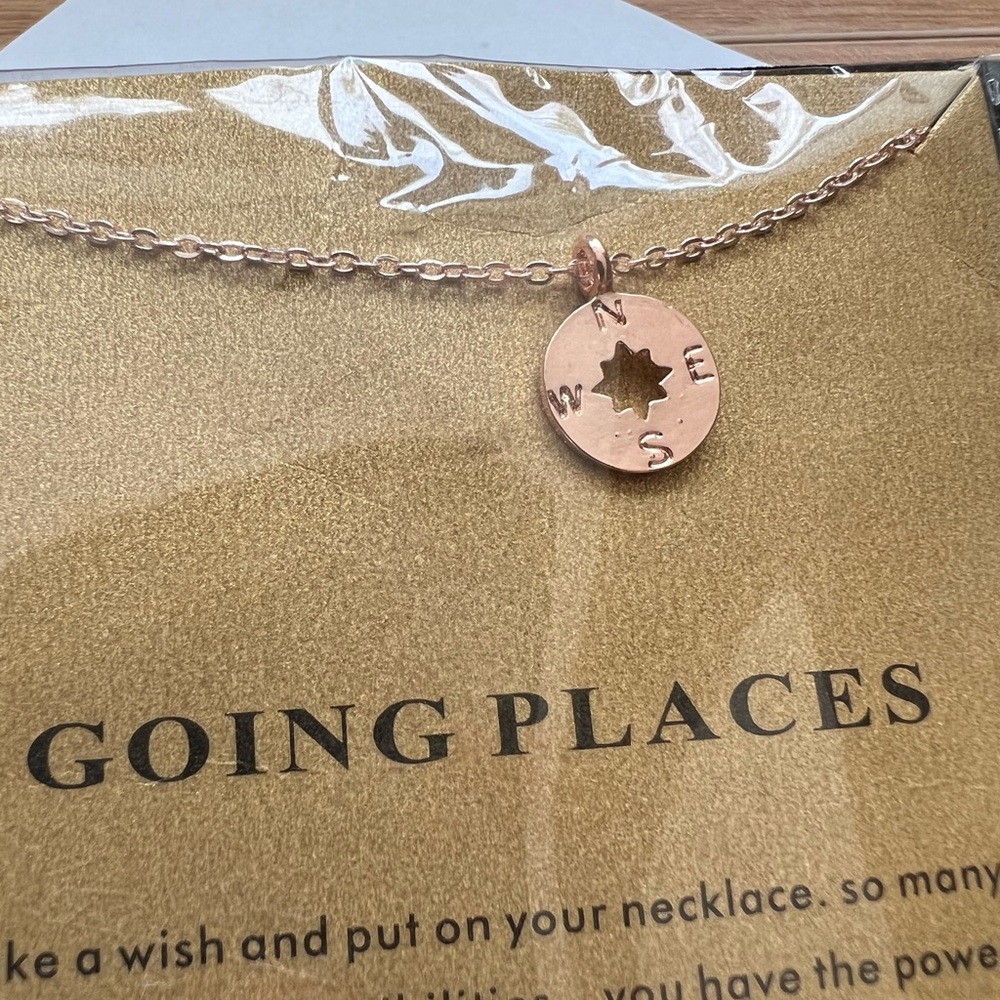 NWT Rose Gold Compass "Going" Places Pendant Necklace - Picture 3 of 6